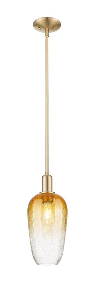 Innovations - 716-1S-CB-G484-7AM - One Light Mini Pendant - Arcadia - Champagne Bronze