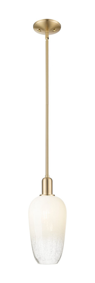 Innovations - 716-1S-CB-G484-7OP - One Light Mini Pendant - Arcadia - Champagne Bronze