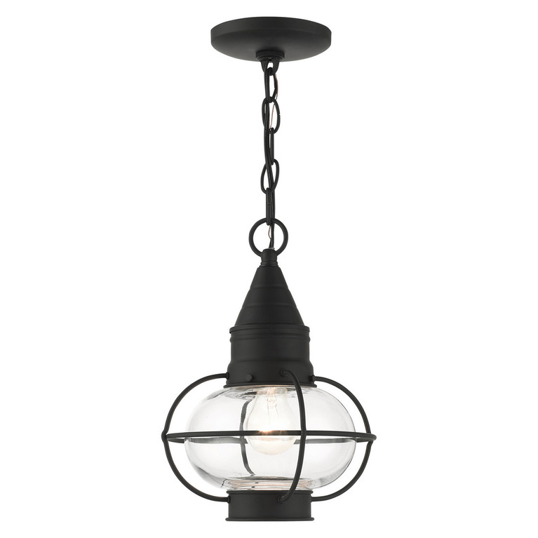Livex Lighting - 26910-04 - One Light Outdoor Pendant - Newburyport - Black