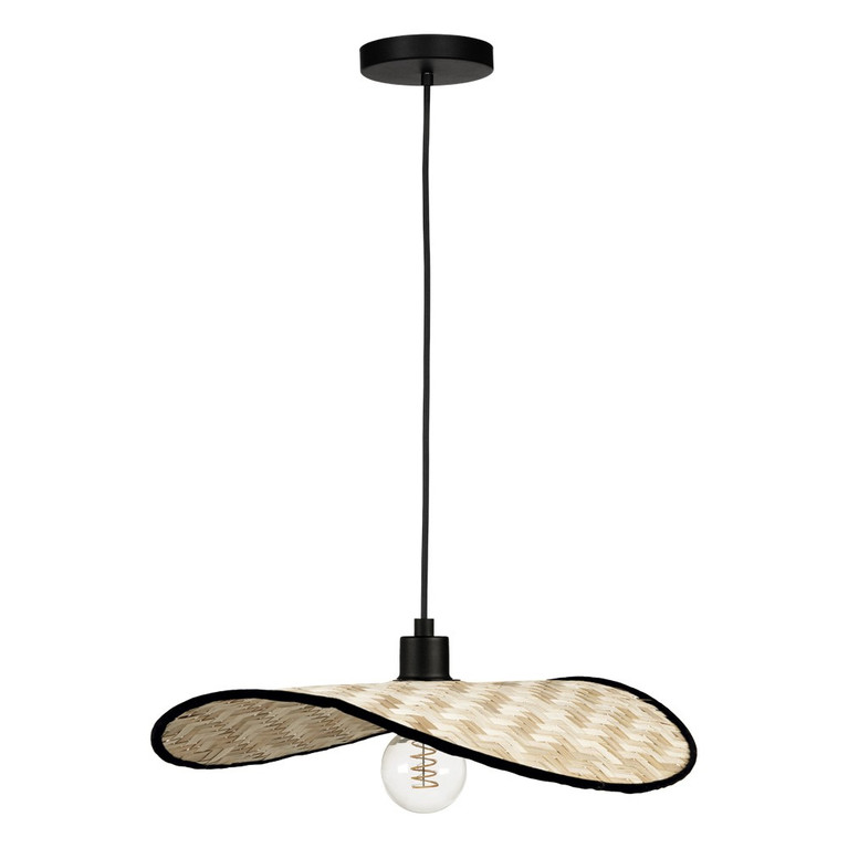 Eglo USA - 206321A - One Light Dual Mount Pendant or Ceiling - Marywell - Black