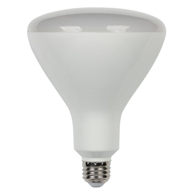 Westinghouse Lighting - 5014000 - Light Bulb - Frost