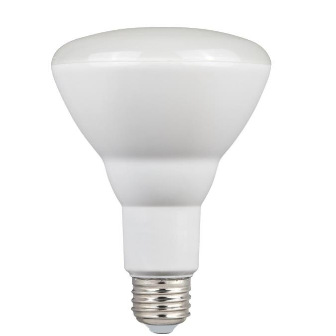 Westinghouse Lighting - 5221000 - Light Bulb - Frost