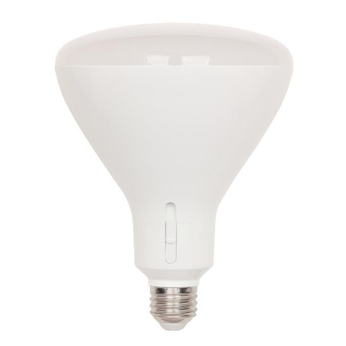 Westinghouse Lighting - 5348000 - Light Bulb - Frost