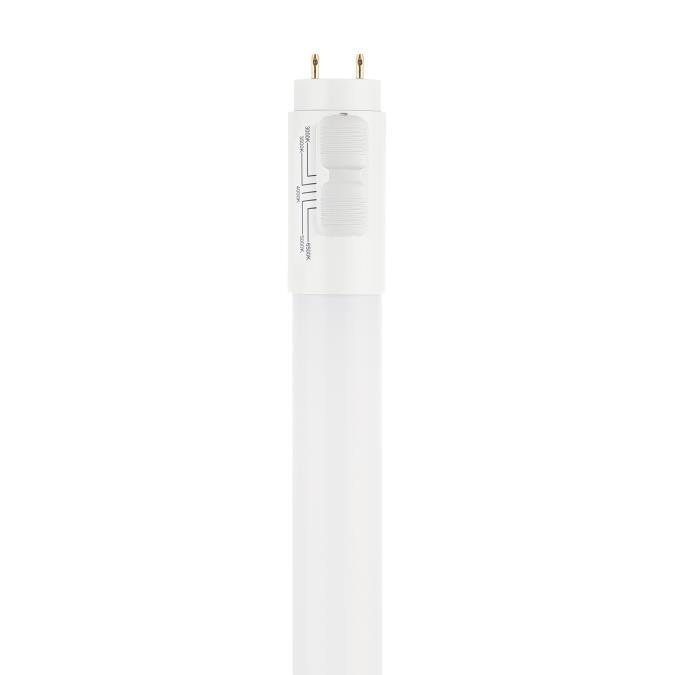 Westinghouse Lighting - 5354000 - Light Bulb - Frost
