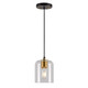 Forte - 2724-01-62 - One Light Pendant - Tyrone - Black and Soft Gold