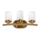 Ames Three Light Bath Vanity Light (5105-03-12)