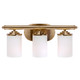 Ames Three Light Bath Vanity Light (5105-03-12)
