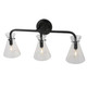 Beaker Three Light Bath Vanity Light (5733-03-04)