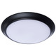 LED Disk Light (62-1814R1)