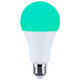 Light Bulb (S11101)