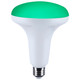 Light Bulb (S11105)