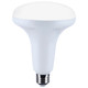 Light Bulb (S11105)