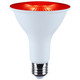 Light Bulb (S11107)