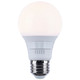 Light Bulb (S11770R1)
