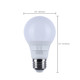 Light Bulb (S11770R1)