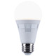 Light Bulb (S11772R1)