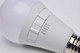 Light Bulb (S11773R1)