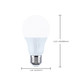 Light Bulb (S12145)
