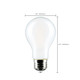 Light Bulb (S12151)
