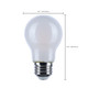 Light Bulb (S12164)
