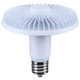 Light Bulb (S13149)