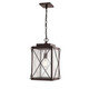 Millennium - 2615-PBZ - One Light Outdoor Hanging Lantern - Robinson - Powder Coated Bronze