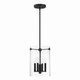 Millennium - 55301-MB - Four Light Pendant - Vissi - Matte Black