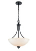 Millennium - 9802-MB - Two Light Pendant - Ivey Lake - Matte Black