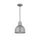 Millennium - RDBC10-GA - One Light Pendant - R Series - Galvanized