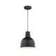 Millennium - RDBC10-SB - One Light Pendant - R Series - Satin Black