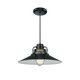 Millennium - RRRC18-SB - One Light Pendant - R Series - Satin Black