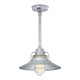 Millennium - RRRS14-GA - One Light Pendant - R Series - Galvanized