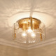 Aenon Three Light Flush Mount (3164-FM BCB-HWG)