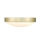 Gabi LED Flush Mount (9128-FM10 BCB-OP)