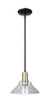Innovations - 716-1S-BAB-G132 - One Light Mini Pendant - Arcadia - Black Antique Brass