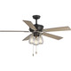 Progress Lighting - P250004-143 - 56``Ceiling Fan - Teasley - Graphite