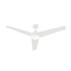 Velto 60" Ceiling Fan (P250128-28M-30)