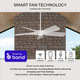 Velto 60" Ceiling Fan (P250128-31M-30)