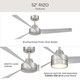Rizo 52" Ceiling Fan (P250129-009)