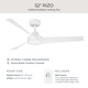 Rizo 52" Ceiling Fan (P250129-28M)