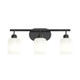 Reines Three Light Bath Vanity (P300579-31M)