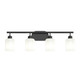 Reines Four Light Bath Vanity (P300580-31M)