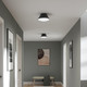 Avra Two Light Flush Mount (P350305-31M)