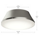 Avra Three Light Flush Mount (P350306-009)