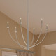 Jheni Six Light Chandelier (P400460-009)