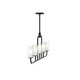 Mack Five Light Linear Chandelier (P400476-31M)