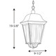 Kiawah Three Light Hanging Lantern (P550001-031)