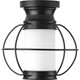 Progress Lighting - P550016-031 - One Light Flush Mount - Haddon - Black