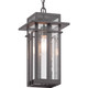 Boxwood One Light Hanging Lantern (P550039-020)