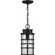 Progress Lighting - P550061-031 - One Light Hanging Lantern - Port Royal - Black